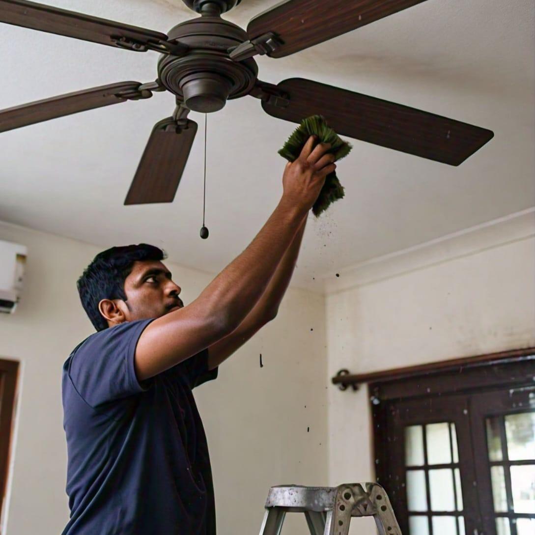 Ceiling Fan Cleaning