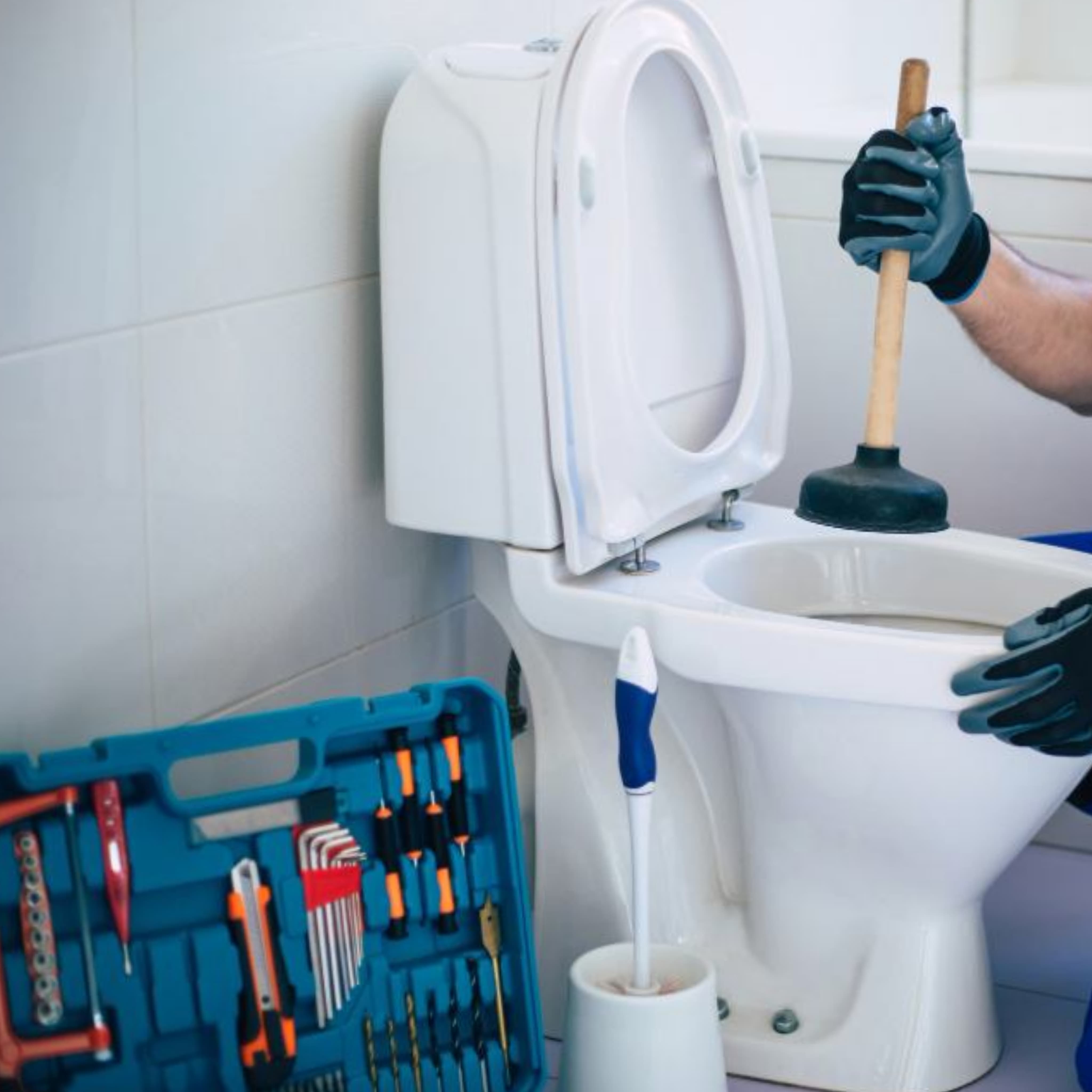 Western Toilet Repair