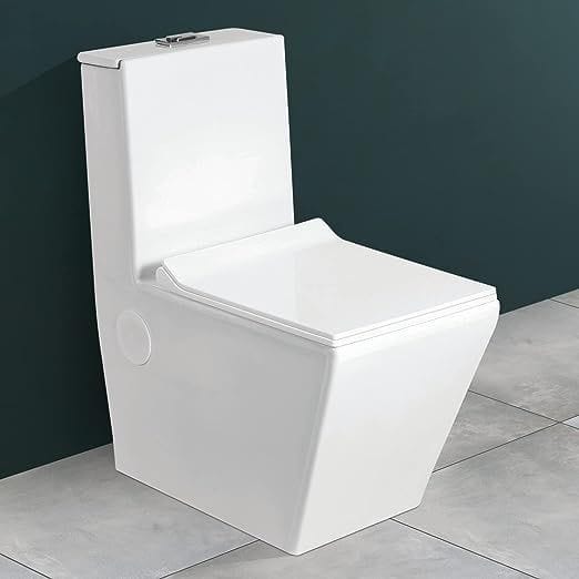 Western Toilet Installation